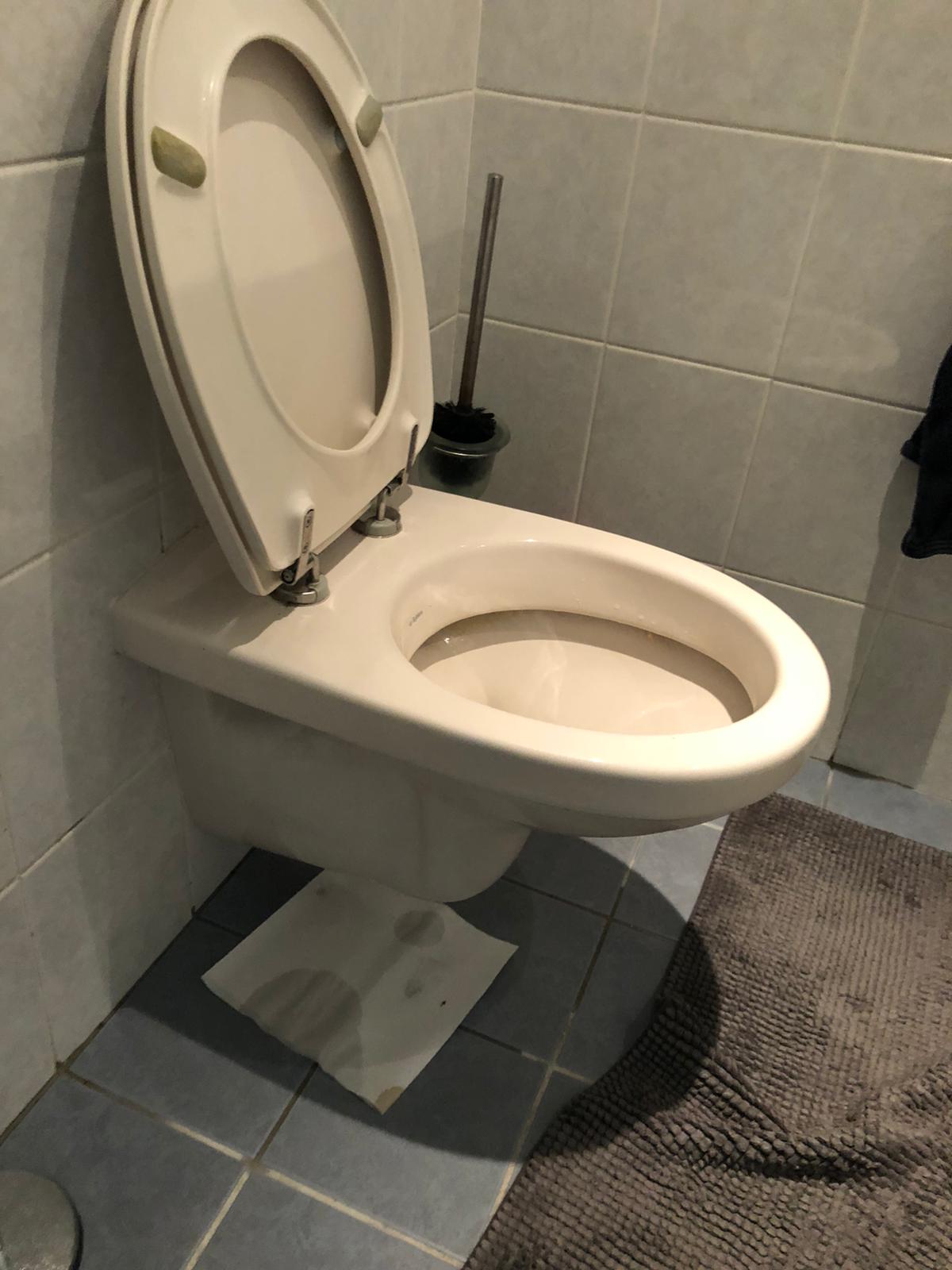 hangtoilet Wezep